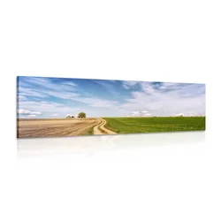 Slika čudovita pokrajina - 120x40