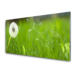 tulup.si Steklena slika Dandelion grass rastlin 100x50 cm 2 obešalnika