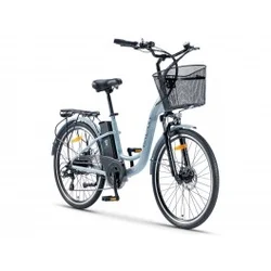 Električni bicikl 26 VALENCIA (250W 36V/10.4Ah lithium) siva