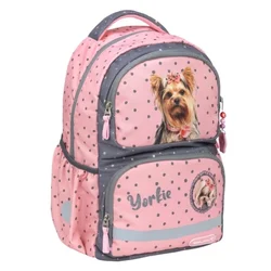 Ranac Belmil 338-36 Glam Yorkie