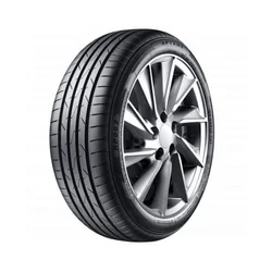 Aptany RP062 ( 195/55 R16 91V XL )