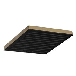 24330140 Hansgrohe Pulsify E 260 1jet nadglavna prha