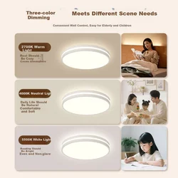 Aoc Plafonska lampa, 55W, 40cm