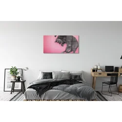 tulup.si Steklena slika Leži mačka 120x60 cm 4 obešalnika