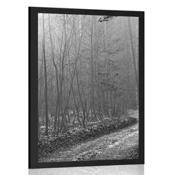Plakat steza v gozd - 40x60 no frame