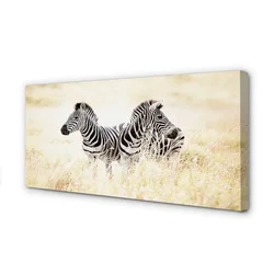 tulup.si Slika na platnu Zebra polje 140x70 cm