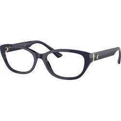 Jimmy Choo Naočare JC 3015 5023