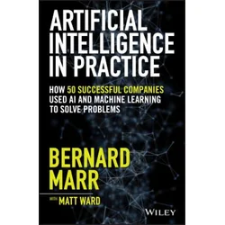 Artificial Intelligence in Practice