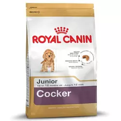 ROYAL CANIN hrana za pse BREED NUTRITION KOKER JUNIOR, 3 kg