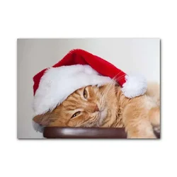 tulup.si Steklena slika Cat Cap Santa Claus 100x70 cm