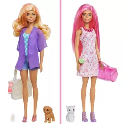 Mattel Barbie Color Reveal Barbie sa životinjom