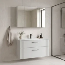 HANAH HOME Kupatilski ormarić sa umivaonikom i ogledalom (2 komada) Bari 100 v2 250