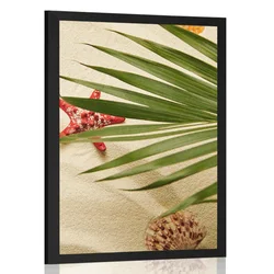 Plakat školjke pod palmovimi listi - 40x60 no frame