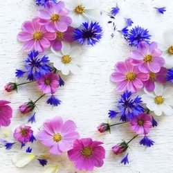 Serviete Summer florals