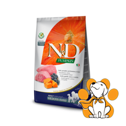 N&D Pumpkin Adult Medium & Maxi Lamb & Blueberry 12kg, Dehidrirana Hrana za Pse