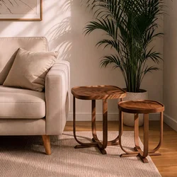Hanah Home set od 2 umetnutih stočića Hisar 2, orah