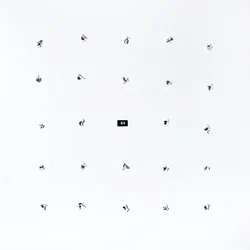 Ian William Craig & Kago - Split Series #24 (LP)