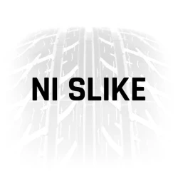 Dunlop Zimska guma 255/40R19 WINTER 100V XL
