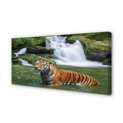 tulup.si Slika na platnu Tiger slap 125x50 cm