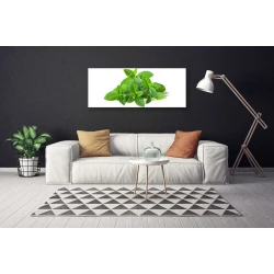 tulup.si Slika na platnu Mint rastlin narava 120x60 cm