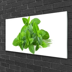 tulup.si Slika na steklu Mint rastlin narava 100x50 cm 2 obešalnika