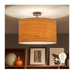 Brilagi - LED plafonski luster CERIA 1xE27/60W/230V, prečnik 45 cm, crna/bež