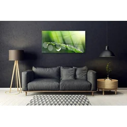 tulup.si Slika na steklu Grass nature dew drops 100x50 cm 2 obešalnika
