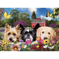 Sunsout - Puzzle Peek-a-Boo - 500 kosov