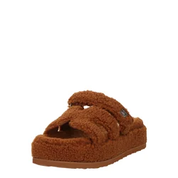 STEVE MADDEN Copat Bigmissile rjava