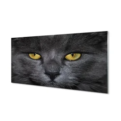 tulup.si Steklena slika Črna mačka 140x70 cm 2 obešalnika