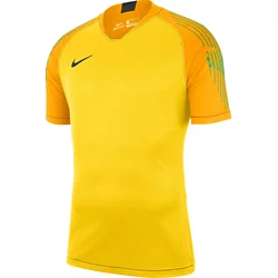 Nike Dres M NK GARDIEN II GK JSY SS