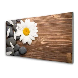 tulup.si Slika na akrilnem steklu Daisy latice rastlin 120x60 cm 4 obešalnika