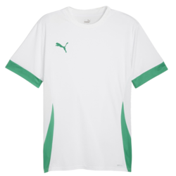 Dre Puma teamGOAL Matchday Jerey