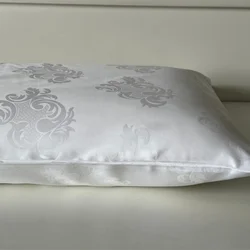 Jastučnica 100% pamučni saten 50x70cm Clas A47 ( VLK000177-clasa47 )