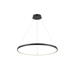 RABALUX Beliza 72344 LED visilica