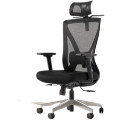 Ergonomska stolica Phoenix New
