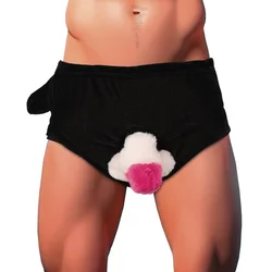 Orion Penis Briefs