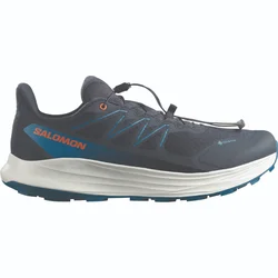 Salomon ALPHARIDE 2 GTX, muške patike za trail trčanje, siva L45476800