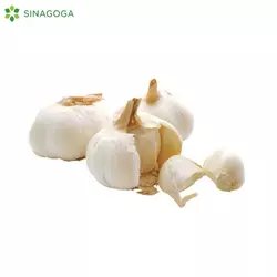LUK BELI POVOC