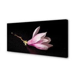 tulup.si Slika na platnu Cvet vode 125x50 cm