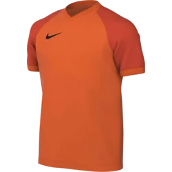 Nike Dres Dri-FIT Trophy VI Kids