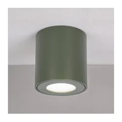 BRILAGI - Kupatilsko spot svetlo MIA 1xGU10/30W/230V 60x82 mm 84x80 mm tamno zelena IP54