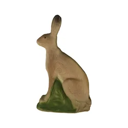 Eleven Target 3D Rabbit