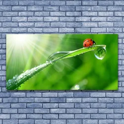 tulup.si Slika na platnu Grass pikapolonica narava 140x70 cm