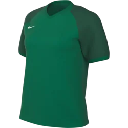 Nike Dres Dri-FIT Trophy VI Women