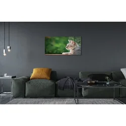tulup.si Steklena slika Išče mačka 120x60 cm 4 obešalnika