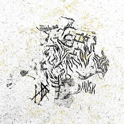 Hope Drone - Husk (LP)