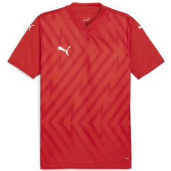 Puma Dres teamGLORY Jersey