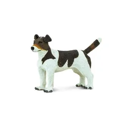 Safari Jack Russell terier