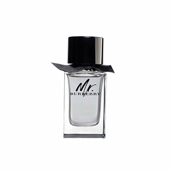 Burberry Mr.Burberry for Men toaletna voda 50ml